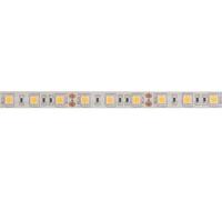 Velleman Bande LED, flexible, autoadhésive, IP61, 300 LED, 5 m, 12 V, 3500K, blanc chaud