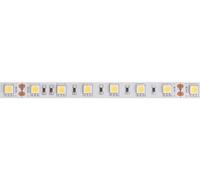 Velleman Bande LED, flexible, autoadhésive, IP61, 300 LED, 5 m, 24 V, 6500K, blanc froid