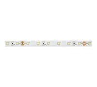 Ruban à led blanc froid 600 led's 10m 24 volts ip20 cri90