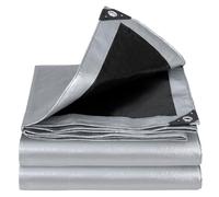 Velway Bâche imperméable et résistante - 5 m x 6 m 100 g/m² avec œillets renforcés Protection UV Bâche en Plastique idéale pour l'intérieur et l'extérieur Argenté