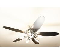 Ventilateur de plafond Arius avec éclairage Westinghouse