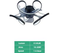 Ventilateur de plafond avec éclairage, fonctionnement double mode,via application intelligente, noir, application avec variateur RC