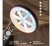 Ventilateur de Plafond avec Eclairage Ventilateur Lampe LED Dimmable RGB 48cm...