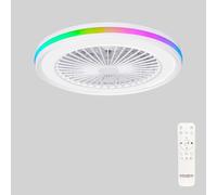Ventilateur de Plafond avec Lumière et Telecommande pour Chambre, Ø48cm, Silencieux Moteur DC, 6 Vitesses, Mode Été/Hiver, 40W 3800LM Plafonnier LED Moderne avec RGB et Minuteur, Dimmable 3000-6000K