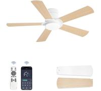 Ventilateur de Plafond avec Lumière LED Ø 107 cm,Design Extra-Plat,Contrôle par APP et Télécommande,Moteur DC Silencieux,6