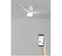 Ventilateur de plafond - Create - Avec lumière - Silencieux - Ø132 cm - Bois