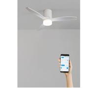 Ventilateur de plafond - Create - Avec lumière - Silencieux - Ø132 cm - Bois