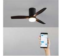 WIND CALM - Ventilateur De Plafond Silencieux 40W Avec Pales Techniques En ABS De Différentes Tailles WIFI + Télécommande