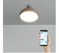 Ventilateur de plafond - Create - WIND CLEAR RATTAN - Pales rétractables - LED 36W - Finitions osier