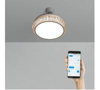 Ventilateur de plafond - Create - WIND CLEAR RATTAN - Silencieux - Pales rétractables - LED 36W