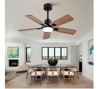 Ventilateur de plafond extérieur noir 42 pouces 5 pales éclairage variable télécommande idéal pour terrasse