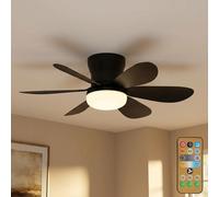 Ventilateur De Plafond LED Globo Noir 6 Lames Avec Lampe 51 Cm