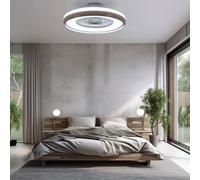 Ventilateur de plafond plafonnier plafonnier ventilateur lampe de salon, télécommande CCT minuterie 3 niveaux, 1x LED 32W 3000Lm blanc chaudblanc froid, DxH 60x20cm