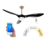 Sichler Haushaltsgeräte Ventilateur de plafond connecté avec lampe LED 1000 lm