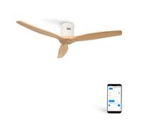 WIND CALM - Ventilateur De Plafond Silencieux 40W Avec Pales Techniques En ABS De Différentes Tailles Sans Lumière