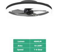 Ventilateur de plafond, télécommande, éclairage à intensité variable en continu, noir, application avec variateur RC