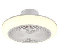 VENTILATEUR ET PLAFONNIER « MJOLBY » Ø 45 cm