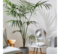 Ventilateur oscillant leo