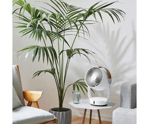 Ventilateur oscillant leo