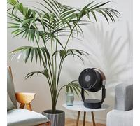 Ventilateur oscillant leo noir new