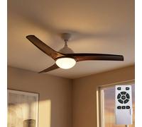 Ventilateur Plafonnier Refroidisseur Télécommande Tdc Minuteur LED D 132 CM