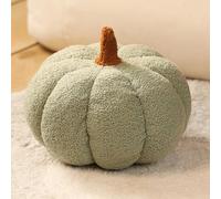 Ventouse Coussin Citrouille, Coussin Forme de Citrouille Crème Blanc, Coussin Décoratif d'automne, Coussin Esthétique pour Canapé en Velours Teddy, Halloween Décoration Maison(Green 01,20cm)
