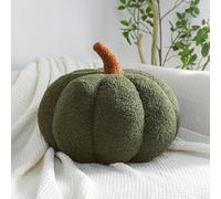 Ventouse Coussin Citrouille, Coussin Forme de Citrouille Crème Blanc, Coussin Décoratif d'automne, Coussin Esthétique pour Canapé en Velours Teddy, Halloween Décoration Maison(Green 02,28cm)