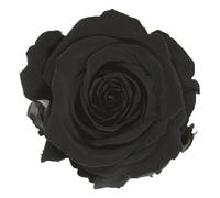 VERDISSIMO Rose éternelle stabilisée Tige 55cm Diamètre 5 à 5,5cm (1, Noir)