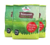 Verdurmax 3 x 1 kg de semences de gazon - Mélange de haute qualité pour 40 m² de pelouse dense, résistante et à germination rapide - Idéal pour la création, le regarnissage et la réparation du gazon