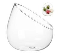 Verre Borosilicaté Épais Terrarium de Table, Bouteille Décorative | Décor Créatif Réaliste, Détail Soigné, Usage Maison et Chambre, Style Frais Élégant