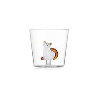 Verre Chat Blanc et Ambre
