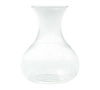 Verre de rechange pour Tea Maker 1,0 l Eva Solo