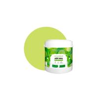 Vert Anis Peinture murale naturelle écologique aspect mat intérieur Natura - 2,5L