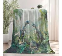 Vert Couverture en Flanelle, Aquarelle Dinosaure Palmier Rochers imprimée, Plaid Doux Chaude Léger pour Canapé Lit Voyage Plaid Décorative pour Enfants Garçons Filles 70×100 cm