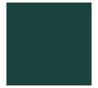 Vert Noir 100 / 980 Pot De Peinture Acrylique 17ml - Prince August