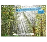 Verwunschene Waldträume: Ein Kalender voller Magie (Tischkalender 2026 DIN A5 quer), CALVENDO Monatskalender: Jedes Bild erzählt eine eigene ... lädt dich ein, die Magie der Natur zu spüren.