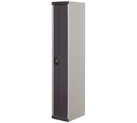 Vestiaire métal Team Color industrie propre - 1 colonne L.30 cm - Corps Gris - Porte Anthracite