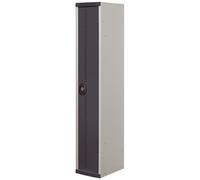 Vestiaire métal Team Color industrie salissante - 1 colonne L.40 cm - Corps Gris - Porte Anthracite