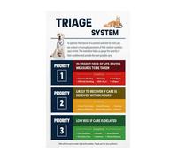 Veterinary Clinic Wall-Art Pet Emergency Care Chart First Aid Triage Guide Educational Poster for Animal Hospital Training Facility Office(Framed,16x24inch(40x60cm))