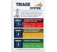 Veterinary Clinic Wall Decor Pet First Aid Reference Chart Educational Poster Canvas Print Art(Framed,12x18inch(30x45cm))