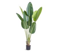 VEVOR Arbre Artificiel 1524 mm Plante Artificielle PE Palmier Oiseau du Paradis Faux Arbre Vert avec Pot 152x128 mm Fausse Plante Décoration pour Maison Bureau Centres Commerciaux Intérieur Extérieur