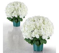 VEVOR Fleurs Artificielles en Pot, Hortensias Artificiels Blancs 508 mm, Lot de 2 Pots, pour Porche, Terrasse, Entrée et Décoration Maison, Usage Intérieur et Extérieur, Fausses Fleurs en Soie et PE