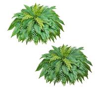 VEVOR Fougère Artificielle 1143 mm, Fougère de Boston Artificielle 63 Frondes, Plante Artificielle en Soie et LDPE pour Décoration Intérieur Extérieur, Maison, Jardin, Porche, Bureau, Salon, Lot de 2