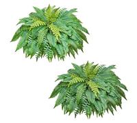VEVOR Fougère Artificielle 1219 mm, Fougère de Boston Artificielle 67 Frondes, Plante Artificielle en Soie et LDPE pour Décoration Intérieur Extérieur, Maison, Porche, Jardin, Bureau, Salon, Lot de 2
