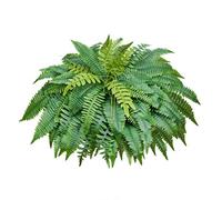 VEVOR Fougère Artificielle 1270 mm, Fougère de Boston Artificielle 96 Frondes, Plante Artificielle en Soie et LDPE pour Décoration Intérieur Extérieur, Maison, Porche, Bureau, Salon, Jardin, Lot de 1