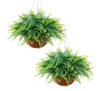 VEVOR Fougère de Boston Artificielle Suspendue, Longeur 58,4 cm Lot de 2, Fausse Plante Suspendue en Plastique pour Décoration Intérieure et Extérieure, Mur, Mariage, Maison, Porche, Jardin et Bureau