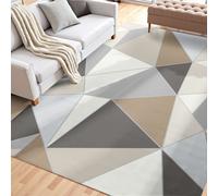 VEVOR Tapis Salon, 1,5 x 2,1 m, Grand Tapis Chambre Lavable Antidérapant, Poils Courts et Denses, Résistant aux Griffures Animaux, Doux, Style Moderne, pour Chambre, Bureau, Entrée, Gris Anthracite