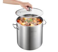 VEVOR Marmite en Acier Inoxydable 19,9 L, Faitout Inox avec Couvercle Verre, Compatible avec Cuisinière à Gaz et Électrique Plaque à Induction, Bouillons Pâtes Pot-au-Feu Traiteur, sans PFOA ni PFAS