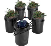VEVOR RDWC Système de culture hydroponique, kit de culture hydroponique avec Top Drip, culture en eau profonde à circulation, 4 boucles et 1 réservoir, avec pompe à air et indicateur de niveau d'eau p