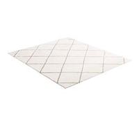 VEVOR Tapis Salon Chambre Poil Long 2,44 x 3,05 m Tapis Moderne de Décoration Intérieur Rectangulaire en Peluche Moelleux Épais Résistant Envers Antidérapant pour Salon, Chambre, Véranda, Beige
